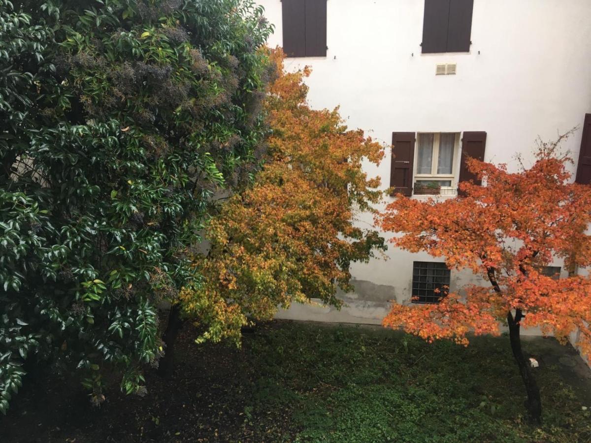 Dimora Cecilia, Nel Cuore Della Citta Vicenza Dış mekan fotoğraf